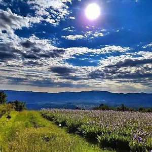 Appartamento Casa Chianti, Mercatale Val Di Pesa