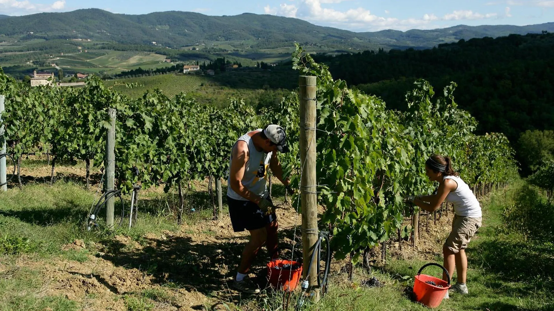 Farm stay Castello Di Gabbiano Villa Mercatale Val Di Pesa Italy