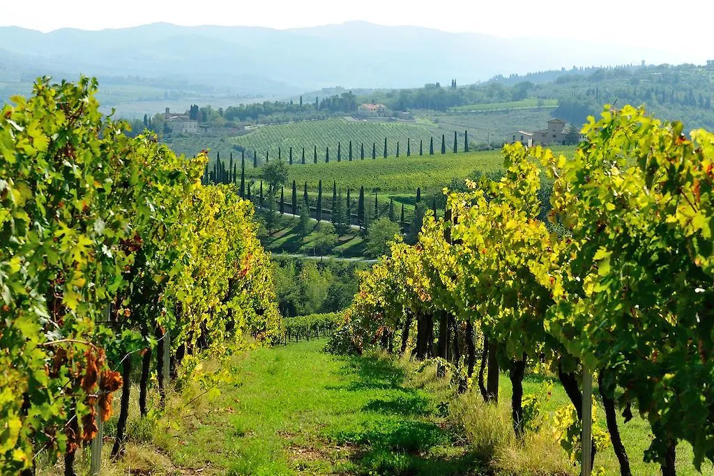 Farm stay Castello Di Gabbiano Villa Mercatale Val Di Pesa
