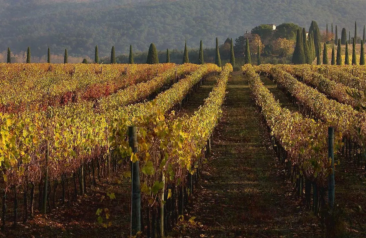 Farm stay Castello Di Gabbiano Villa Mercatale Val Di Pesa